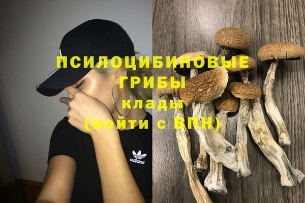 наркотики Алексин