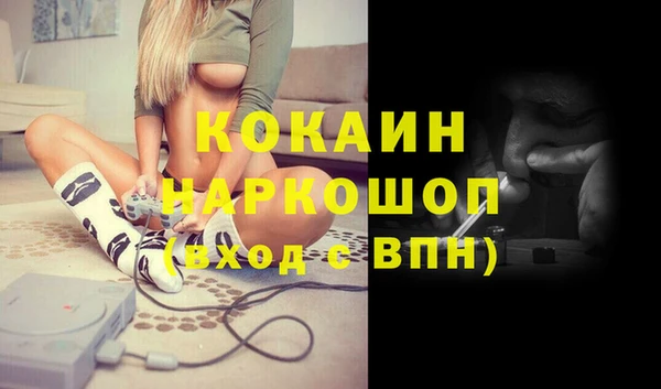 соль ск Алзамай