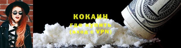 соль ск Алзамай