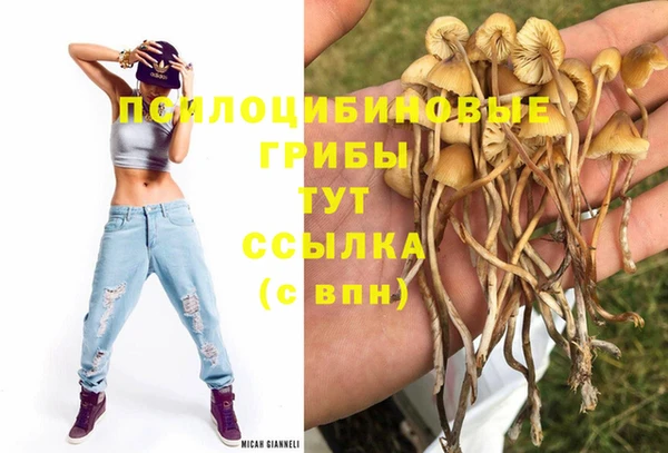 наркотики Алексин