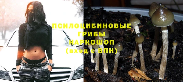 наркотики Алексин