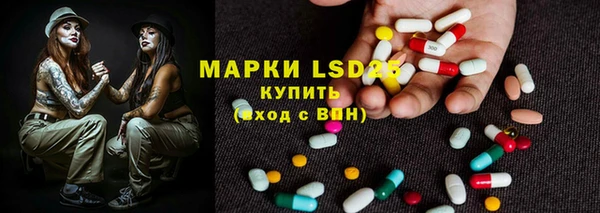 гашик Касимов