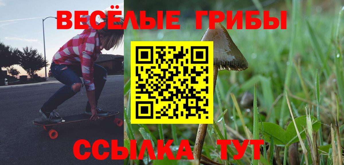 Галлюциногенные грибы прущие грибы  Вход с VPN  купить наркотики сайты  Псилоцибиновые грибы Cubensis  Бирск 